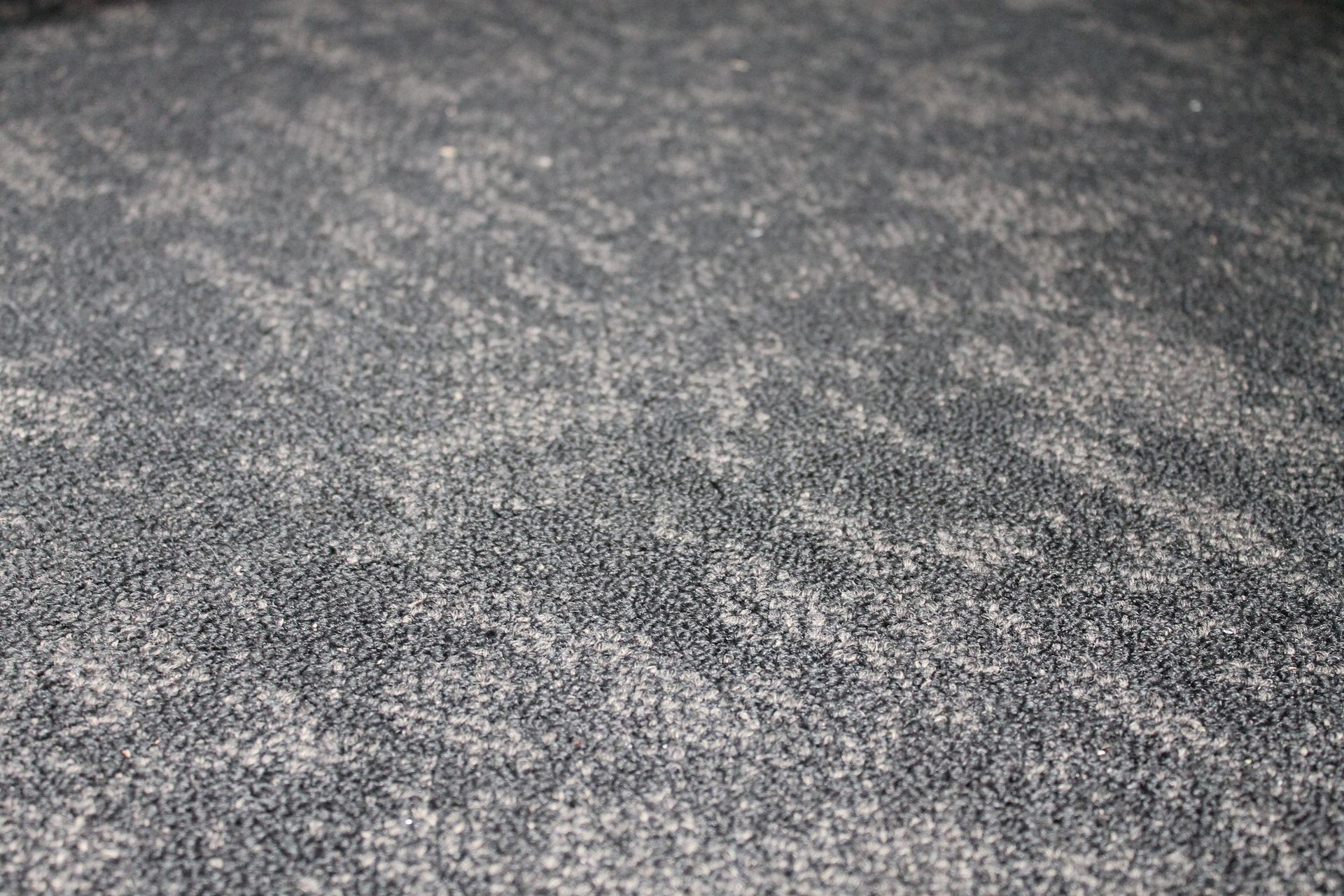 Lino or Carpet flooring